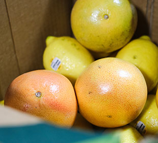 Various fruit is shown to highlight the variety of fruit available in the fresh produce boxes from Martinous Produce Company