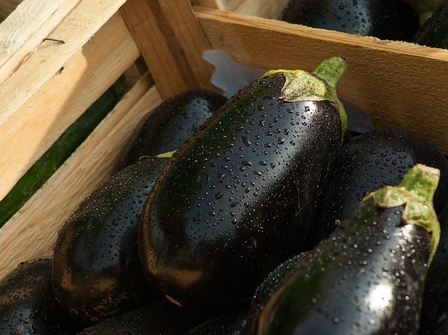 Martinous Produce - Eggplant tomato bake