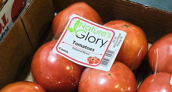 Fresh tomatoes are repackaged as Nature's Glory by Martinous Produce Company.